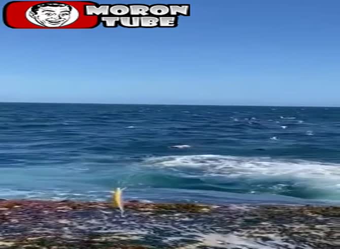 Video :In Australia, a shark attacks and kills a man (public cautioned)